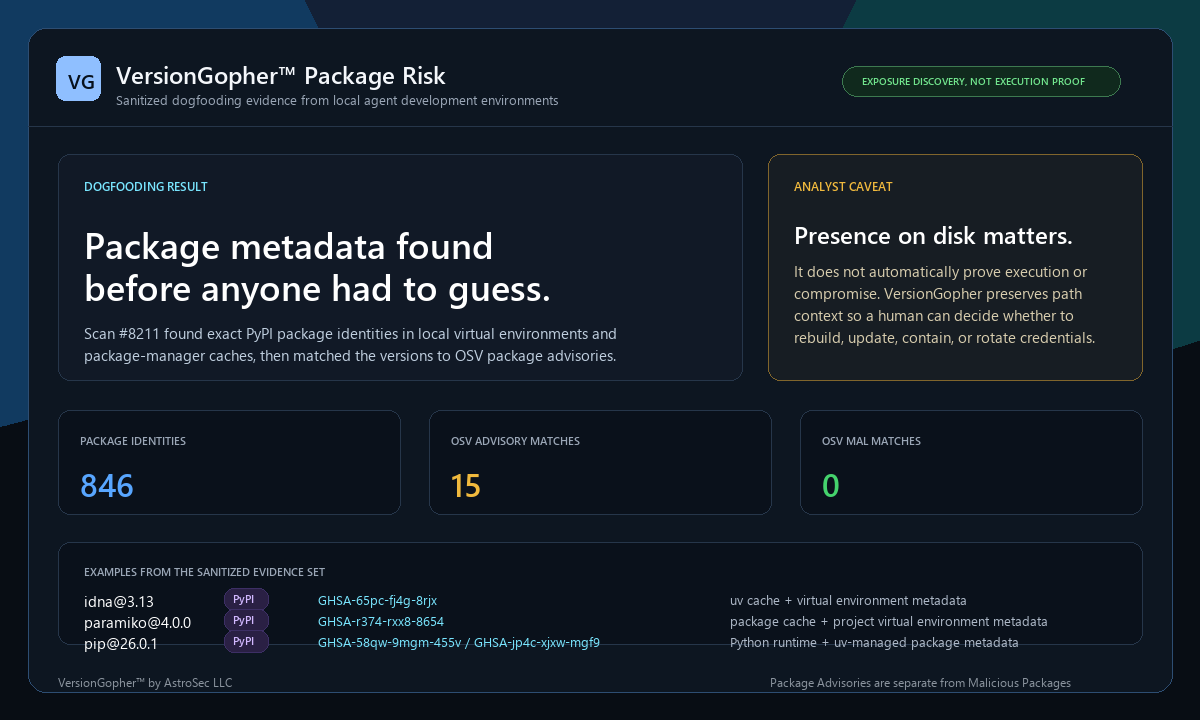 VersionGopher package risk dashboard